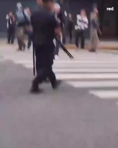 Grandma protesting against pension cuts VS Cop