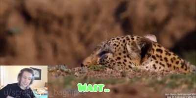 you Pepega'd in the wrong chat