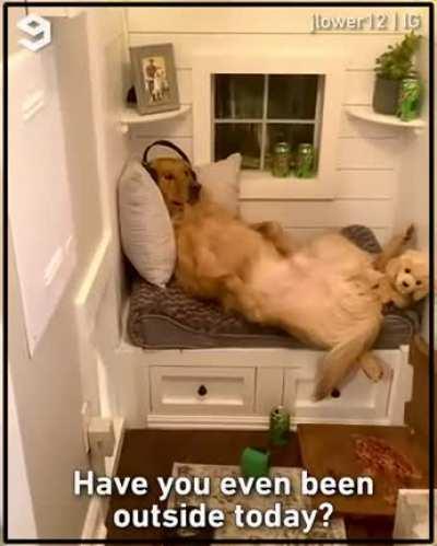 Living the American dream!