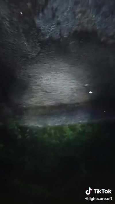 Thanks, I hate these hyper realistic CGIs