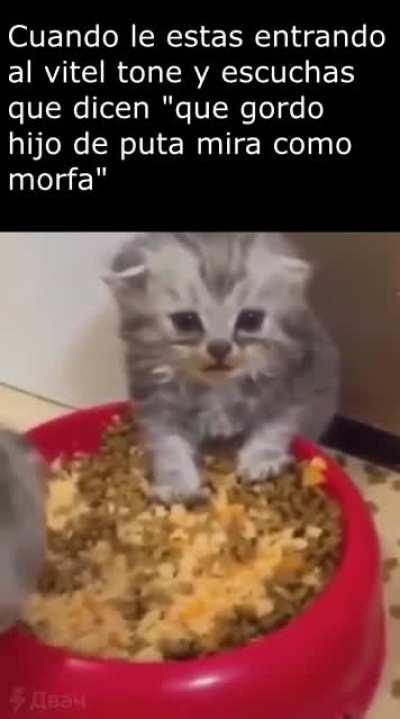 Se acabaron las figacitas