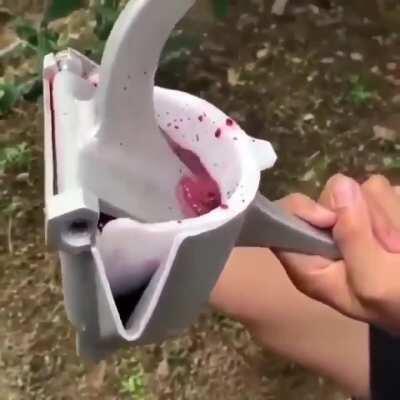 Idk if it's the juicer or the pomegranate, but I want...