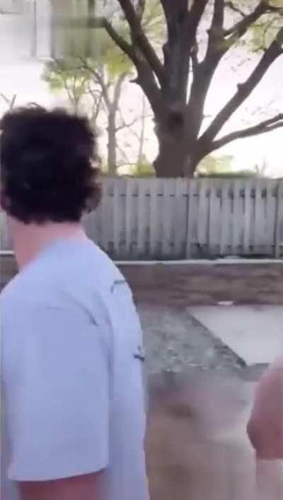 The gif that keeps on giving