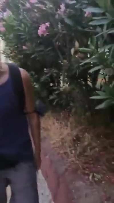 Pro-palestine protestors in Athens, Greece freak out on Israeli tourist