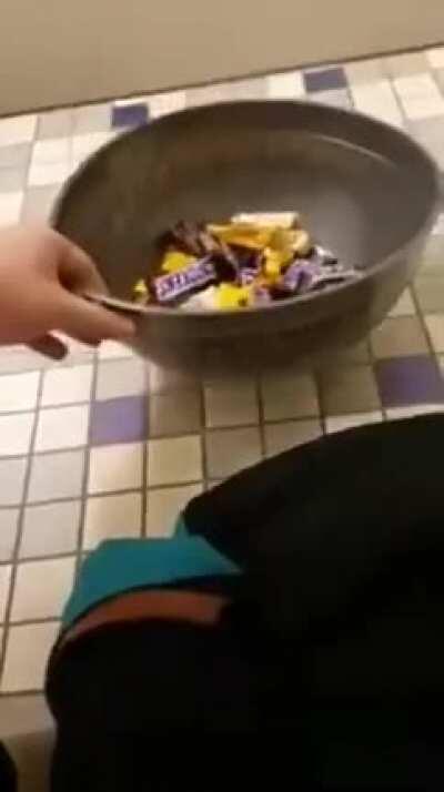 Such a nice boy sharing his chocolate candies