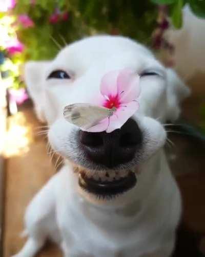 От улыбки хмурый день светлей