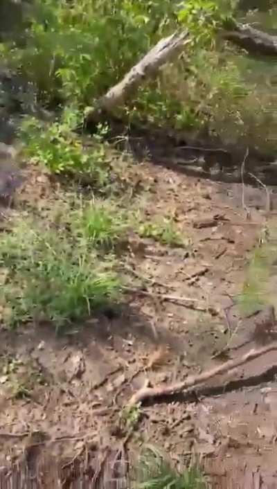 ( dark humor ) hide-and-seek game with a Russian.... where are you? I can already see your feet, you must not be far