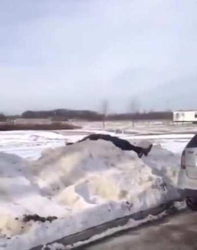 To jump into a snow pile.