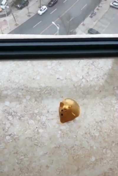 Piggy Wiggy the Terminator