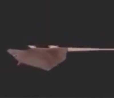 Horizontally spinning rat fell on his back.