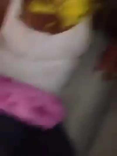 Kato caught slipping str8 mustard face archive