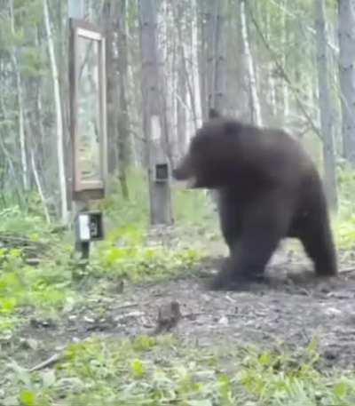 Beautiful morning walk in forest…..