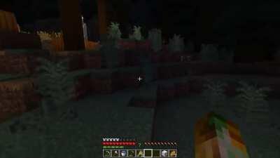 I had a nightmare in Minecraft