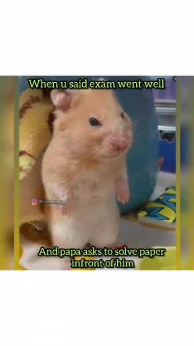 kch nhi vro bs meme dekh lena 😅