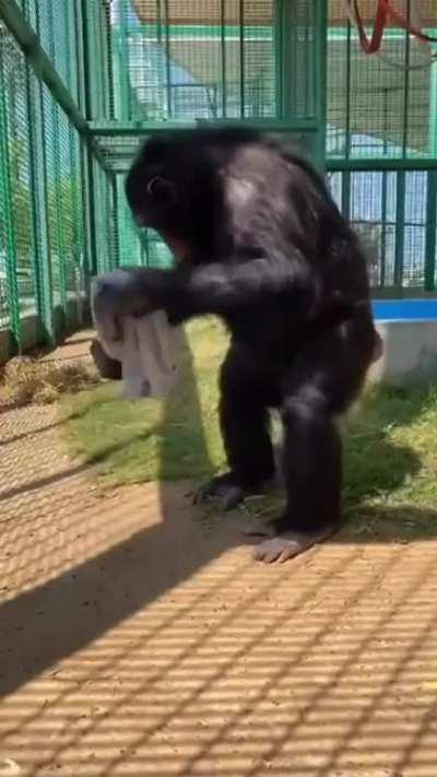 Goddammit who's knocking at this hour?