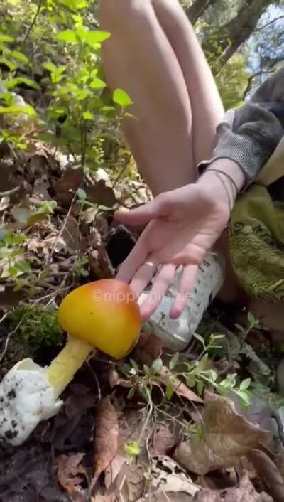 The wonder I found on my walk