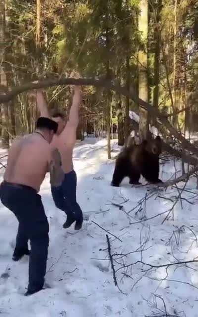 В догонку присту казачьему...