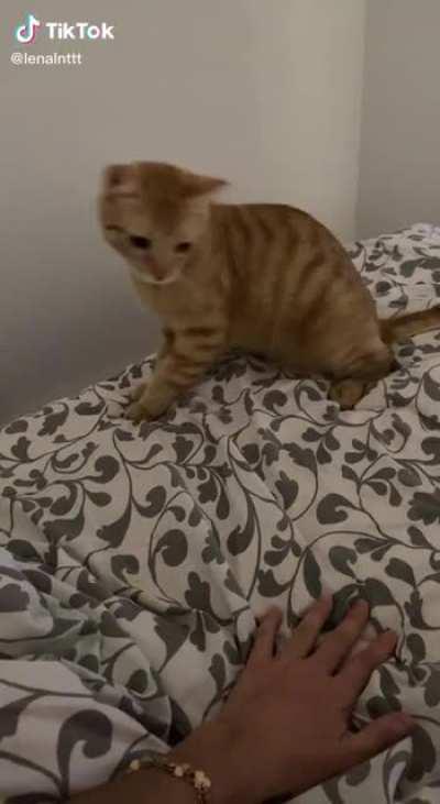 The hand started it.