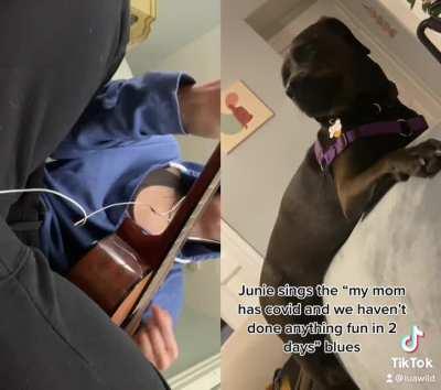 I played blues on guitar over my whiny @$$ pibble