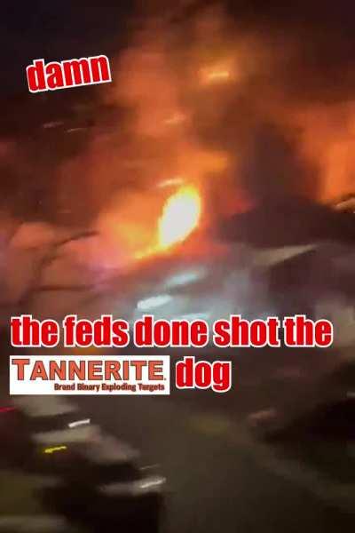 the feds done shot the mf Tannerite® dog
