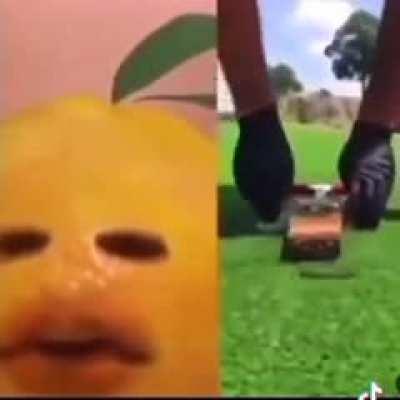 most sane popular tiktoker