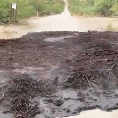 It Comes For You. (Charred debris from wildfire making its way along flash flooding outside Tucson, Arizona)