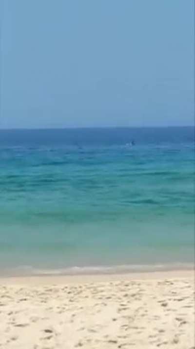 Beautiful Beach View