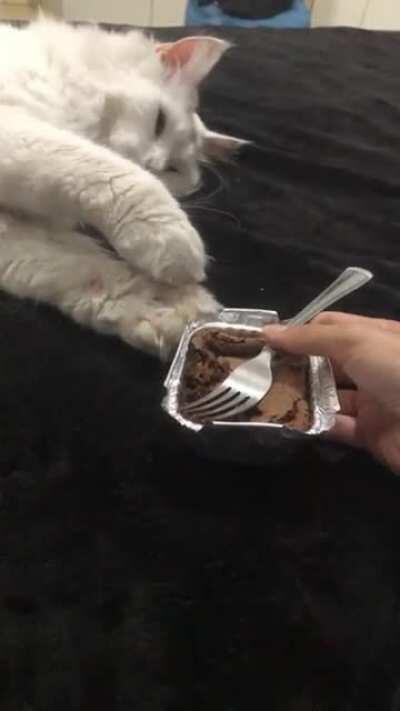 Mason wants some brownies