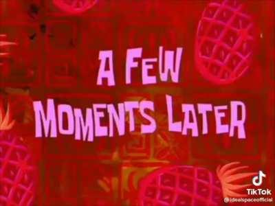 NO 😔 EL GATO 😔😔