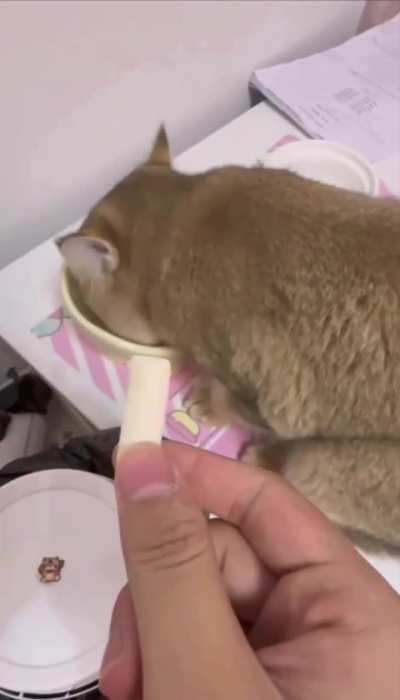 Да что же это такое?!