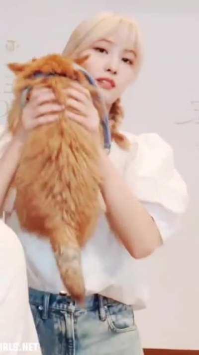 such a beautiful sight 😍