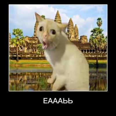 the consequences of glue sniffing