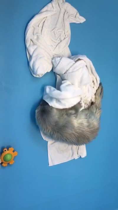 Lil baby after a bath