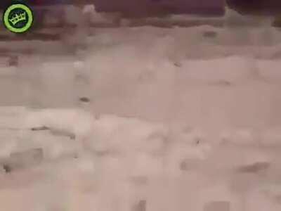 American Soldiers throw an Iraqi puppy to its death