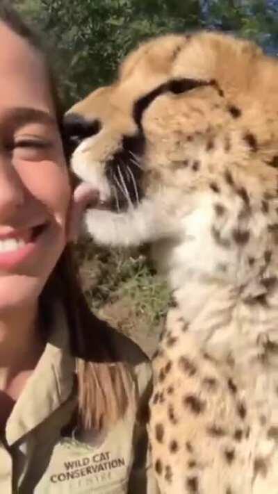 I wouldn’t do that...