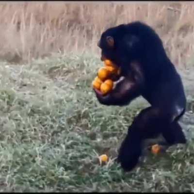 Me with my shares IRL