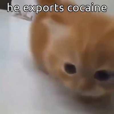 he exports cocaine