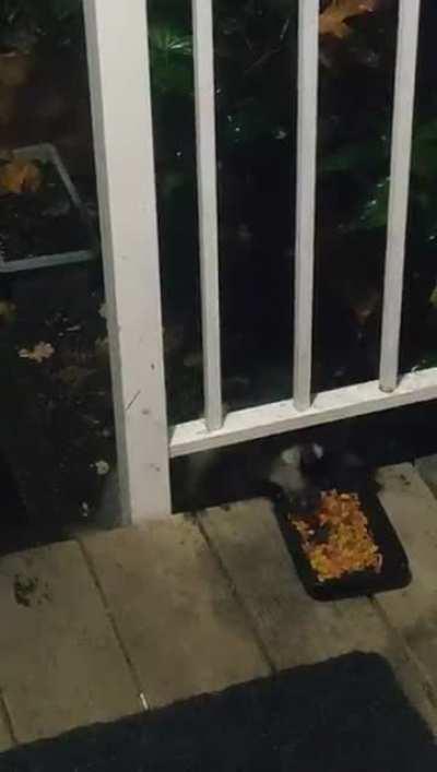 Thieving Trashpanda