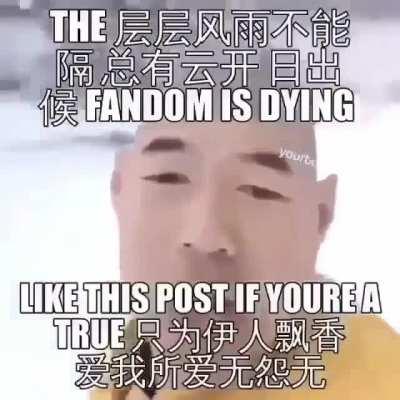 xue hua piao piao bei feng xiao xiao