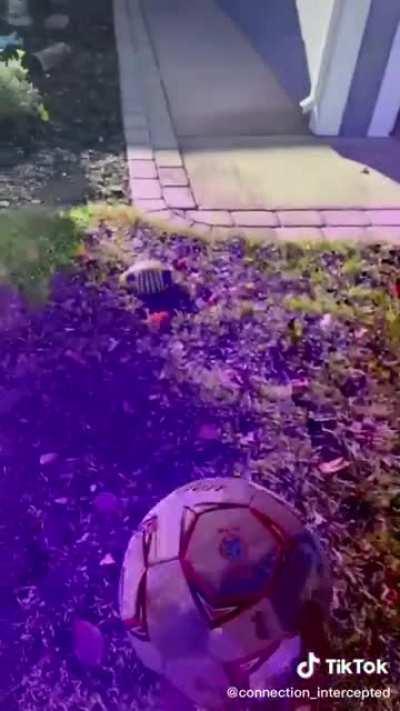 i’ve..... been here