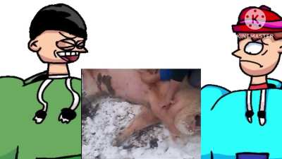 How Gilbert & Wilbur react to 100 1444