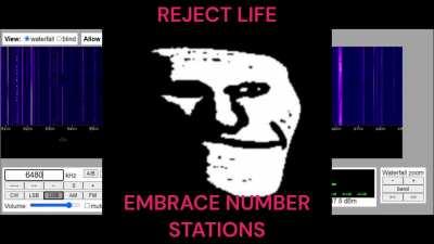 At least they'll always be there for me