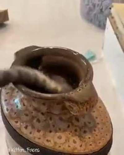 how is this possible?