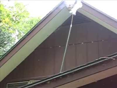 Wasp Nest Versus M80 Firecracker