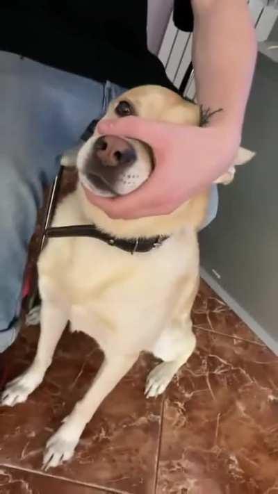 How I see contemporary rappers