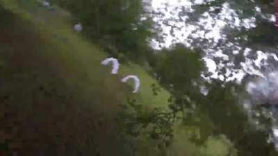 How is this for a recovery?