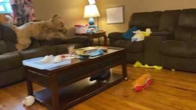 Wait for the tongue at the end.