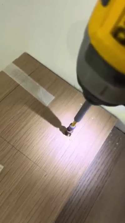 Cachorro da especie ajudante de pedreiro 