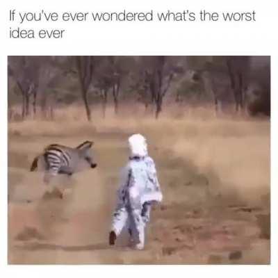 Dumbest idea Ever...