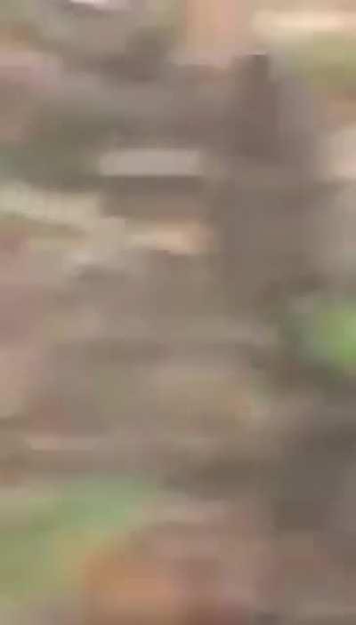 Dude rolled dead car down hill… absolutely destroys the car.